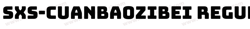 SXS-Cuanbaozibei Regular字体转换